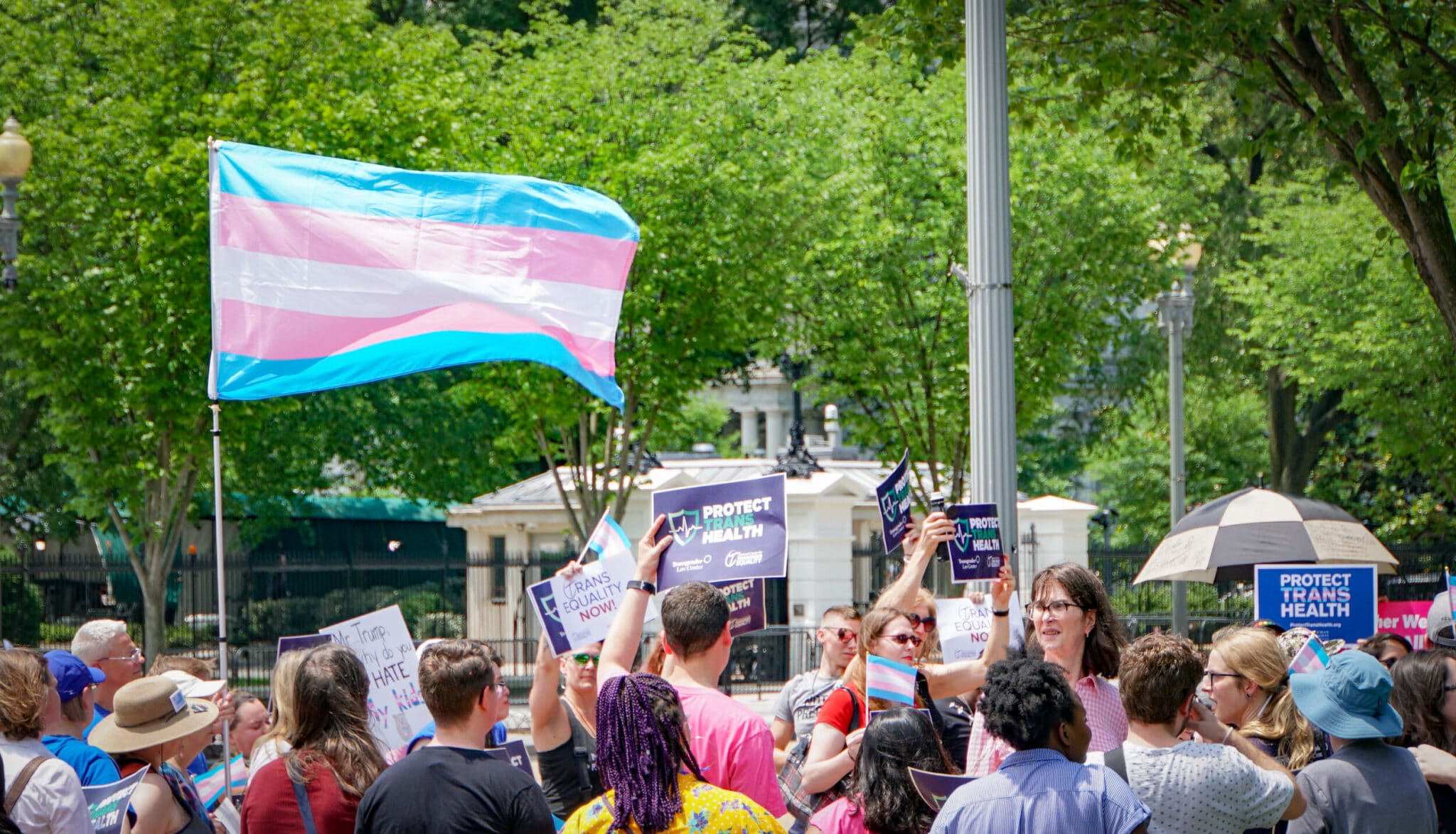 Transgender Flag in Parade